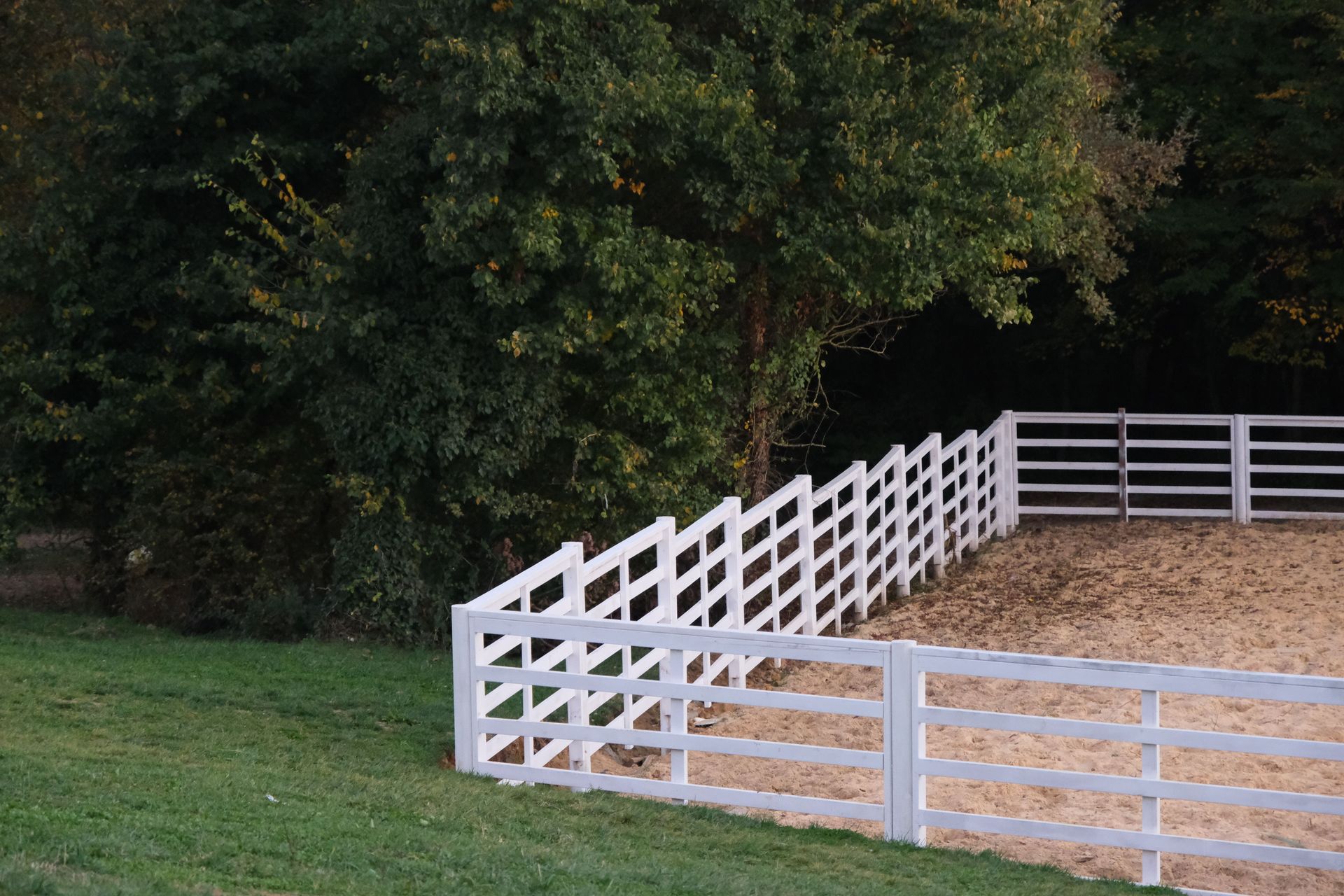 A serene outdoor paddock with white fences and lush green trees.