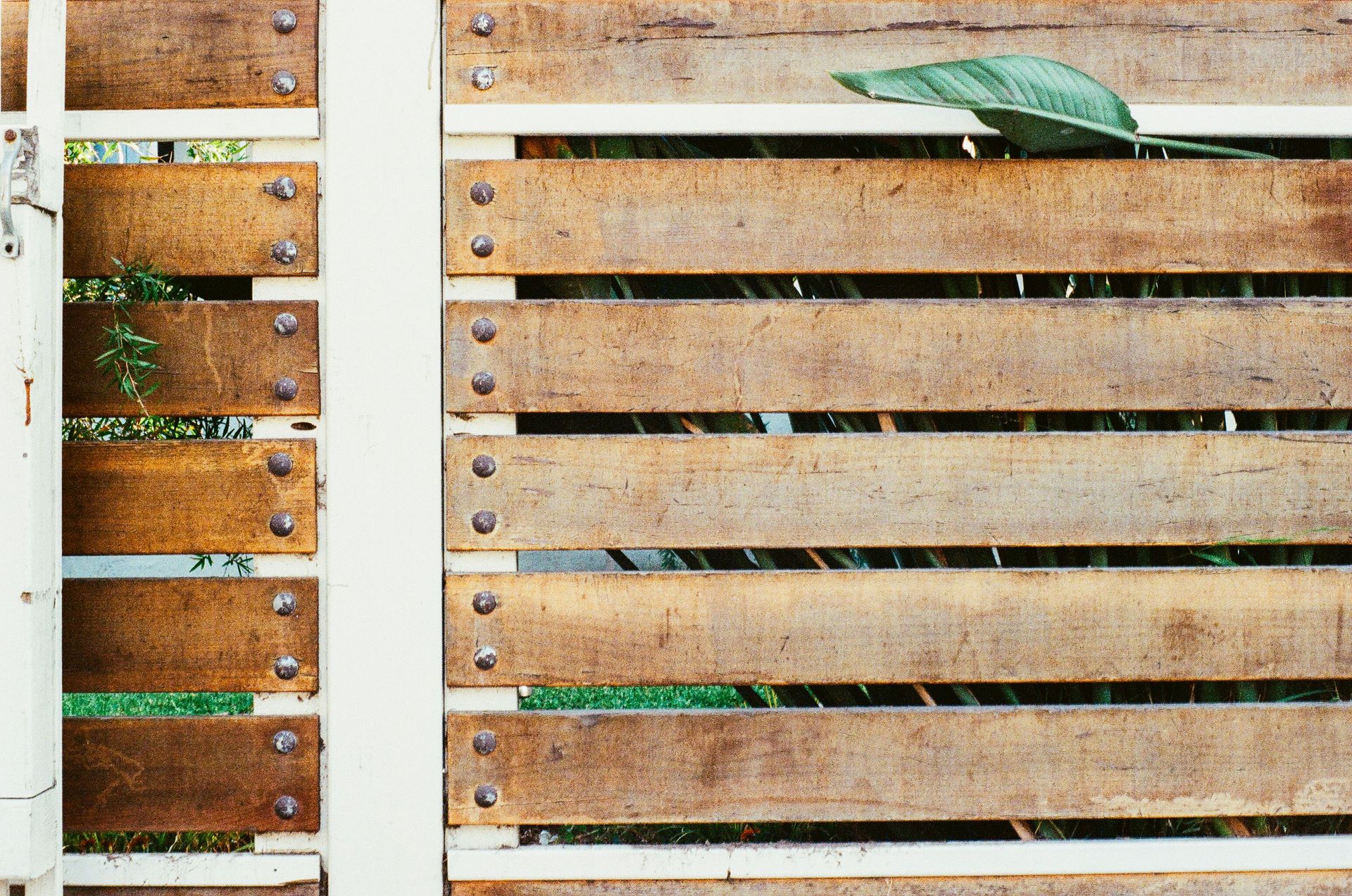 Close-up of a rustic wooden fence with green leaves peeking through the gaps.