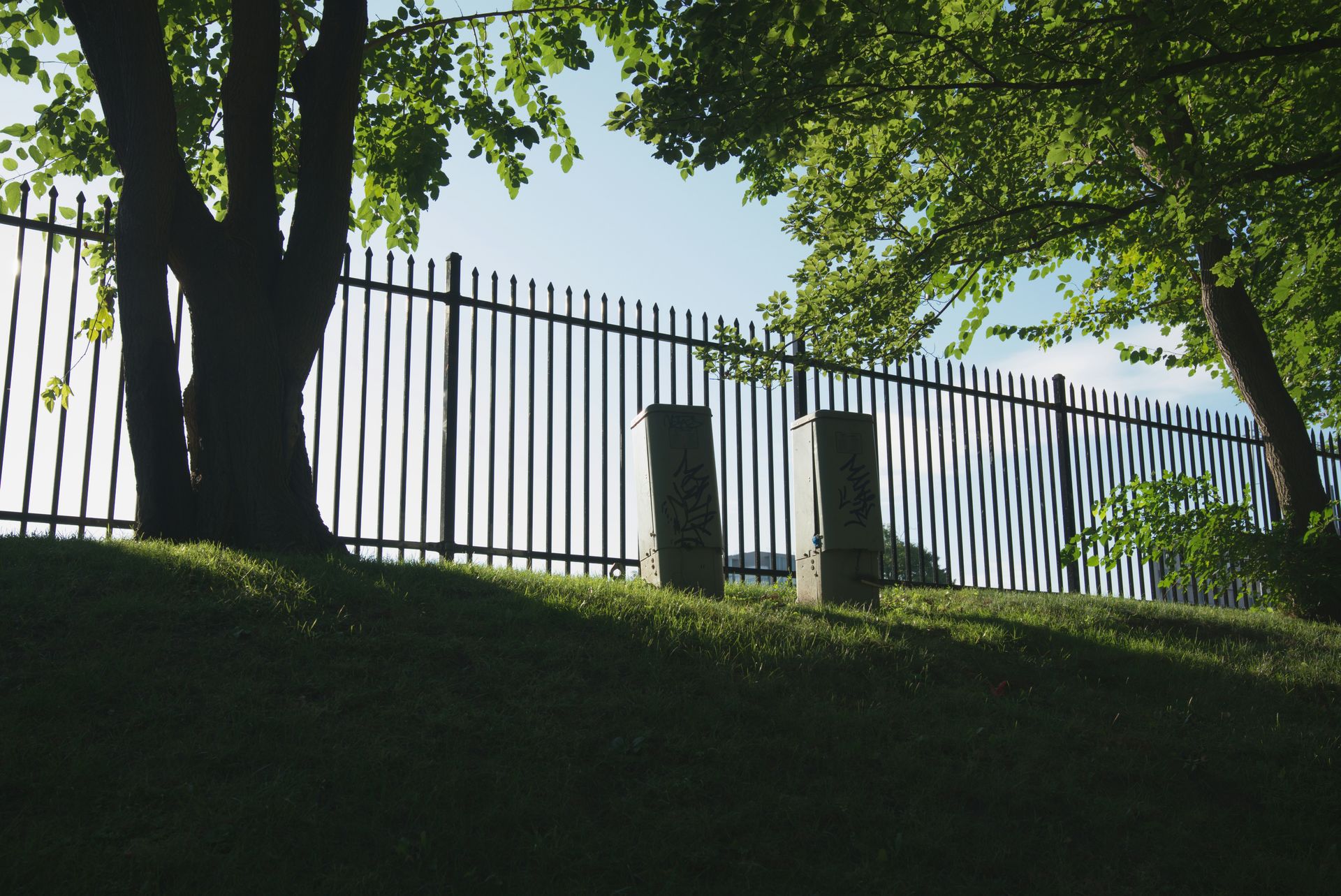 white wooden fence near green trees during daytime